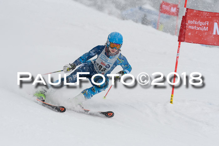 Münchner Skimeisterschaft 2018