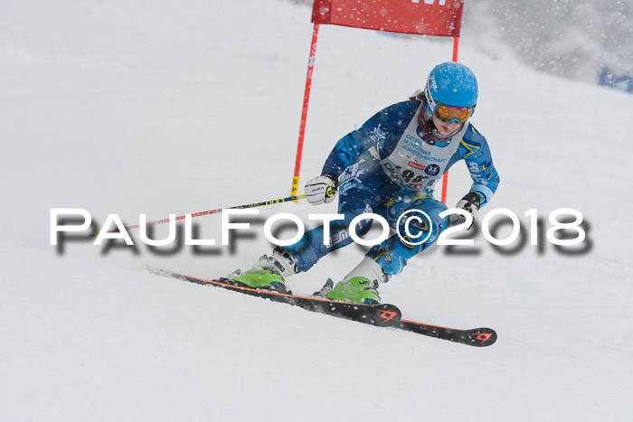 Münchner Skimeisterschaft 2018