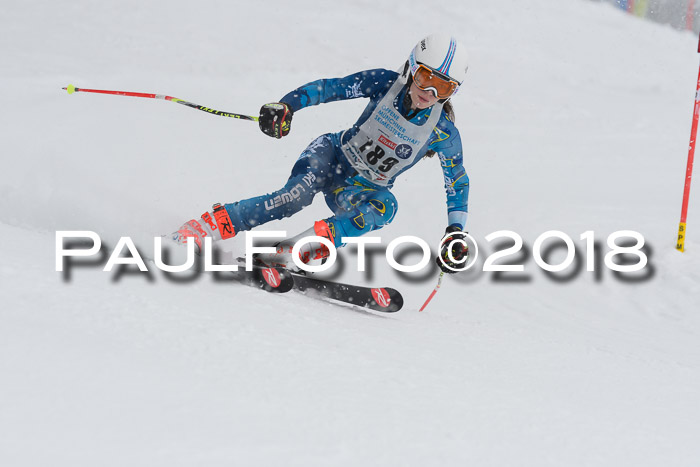 Münchner Skimeisterschaft 2018