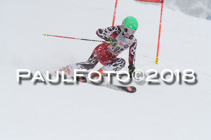 Münchner Skimeisterschaft 2018