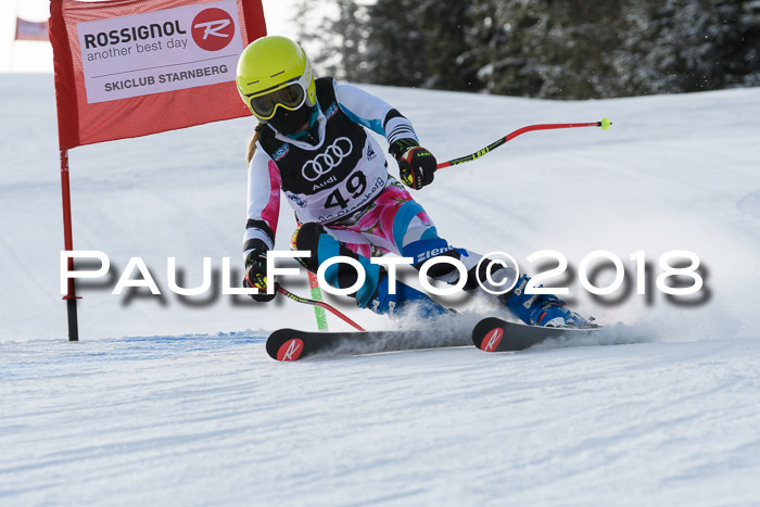 Starnberger Skikreismeisterschaft 2018