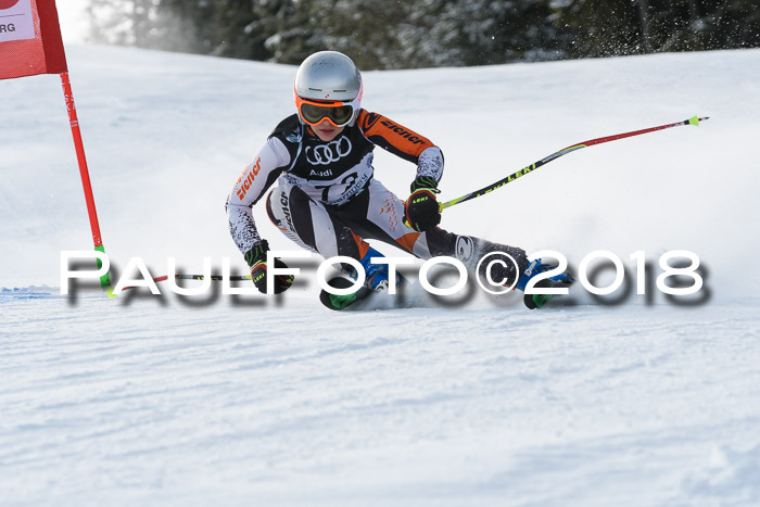 Starnberger Skikreismeisterschaft 2018