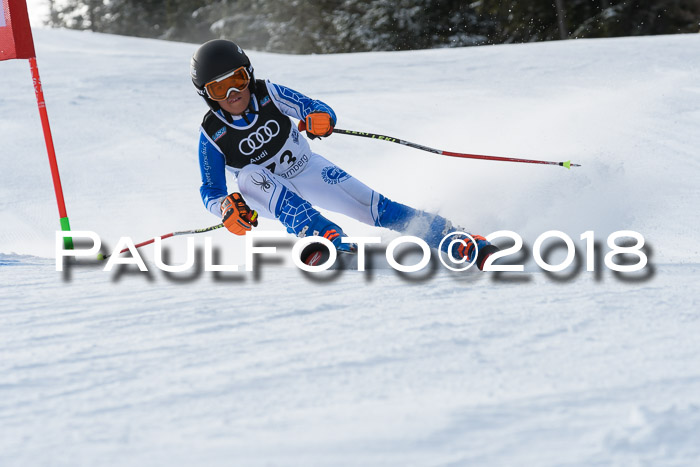 Starnberger Skikreismeisterschaft 2018