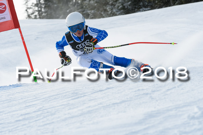 Starnberger Skikreismeisterschaft 2018