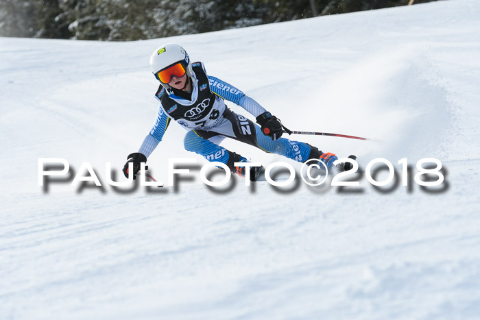 Starnberger Skikreismeisterschaft 2018