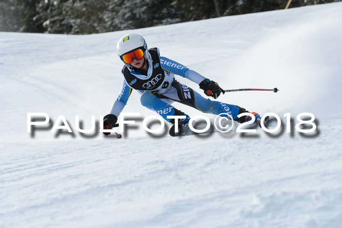 Starnberger Skikreismeisterschaft 2018