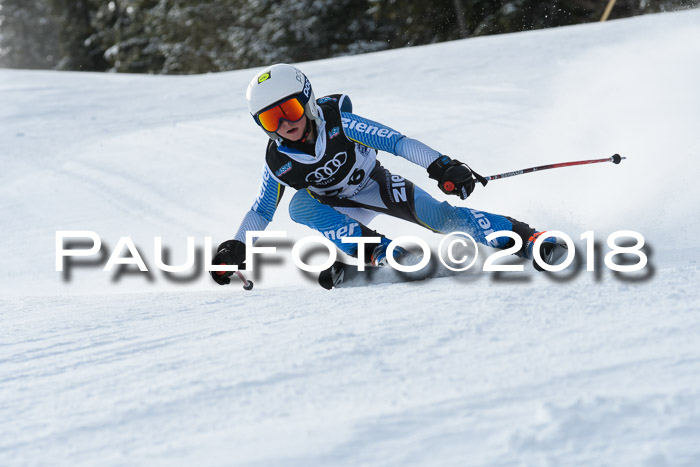 Starnberger Skikreismeisterschaft 2018