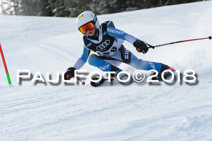 Starnberger Skikreismeisterschaft 2018