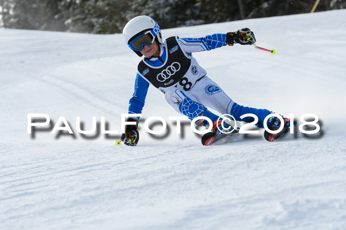 Starnberger Skikreismeisterschaft 2018