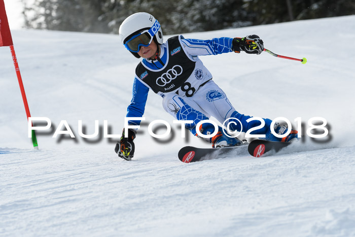 Starnberger Skikreismeisterschaft 2018