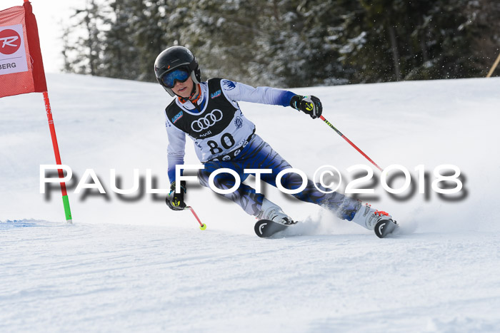 Starnberger Skikreismeisterschaft 2018