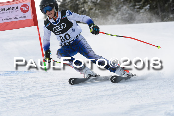 Starnberger Skikreismeisterschaft 2018