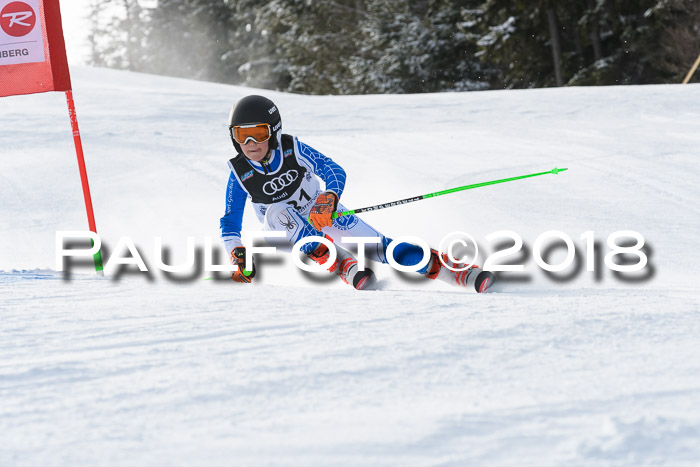 Starnberger Skikreismeisterschaft 2018