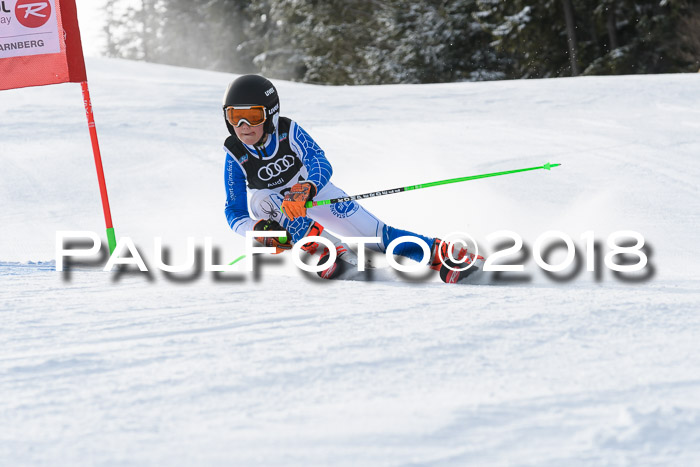 Starnberger Skikreismeisterschaft 2018