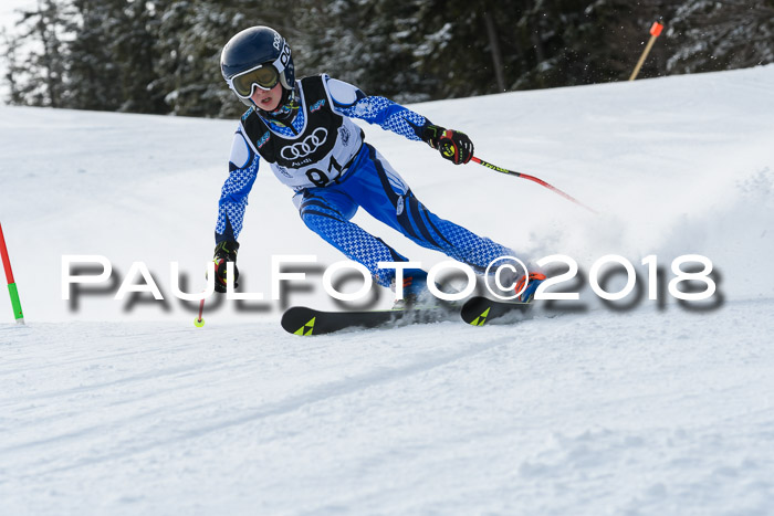 Starnberger Skikreismeisterschaft 2018