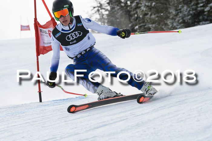 Starnberger Skikreismeisterschaft 2018