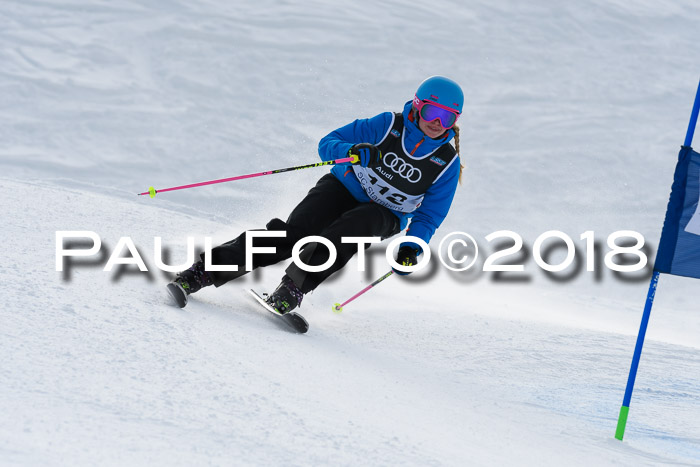 Starnberger Skikreismeisterschaft 2018