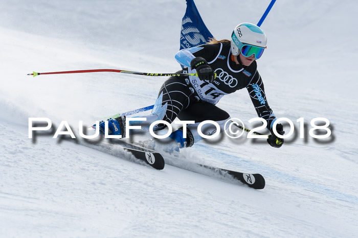 Starnberger Skikreismeisterschaft 2018