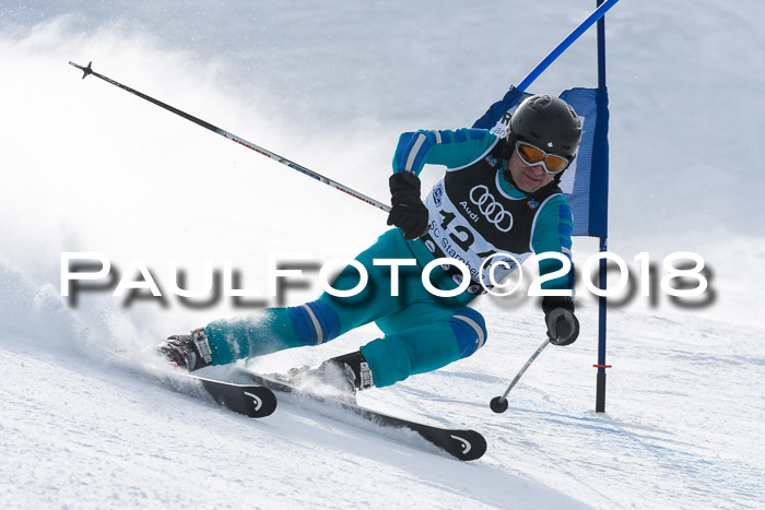 Starnberger Skikreismeisterschaft 2018