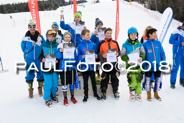 Starnberger Skikreismeisterschaft 2018