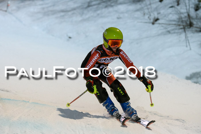 2. WF Ziener Cup, Kathihang, 09.02.2018