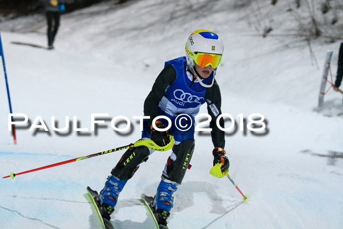 2. WF Ziener Cup, Kathihang, 09.02.2018