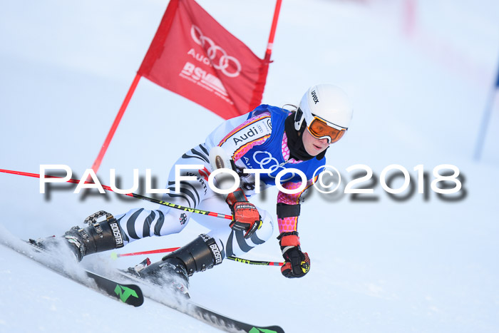 FIS Riesenslalom, Damen + Herren, Oberjoch, Bay. Jugendmeisterschaft, 14.02.2018