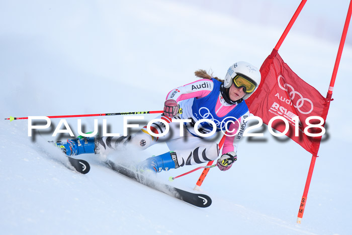 FIS Riesenslalom, Damen + Herren, Oberjoch, Bay. Jugendmeisterschaft, 14.02.2018