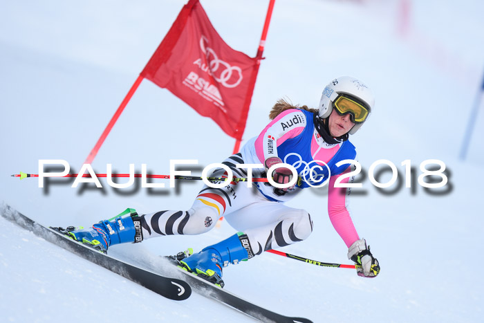 FIS Riesenslalom, Damen + Herren, Oberjoch, Bay. Jugendmeisterschaft, 14.02.2018