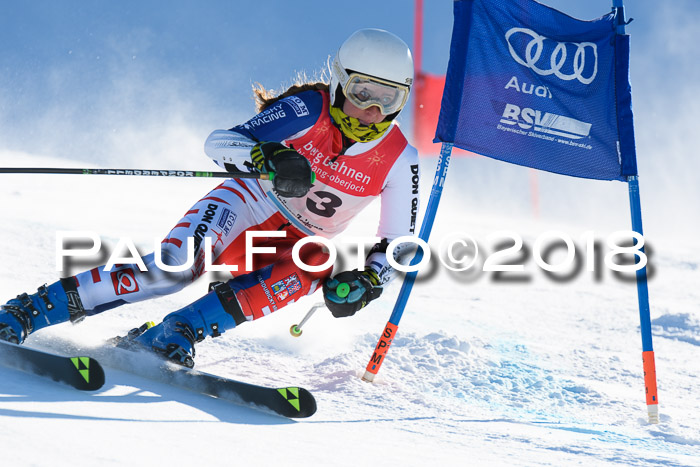 FIS Riesenslalom, Damen + Herren, Oberjoch, Bay. Jugendmeisterschaft, 14.02.2018