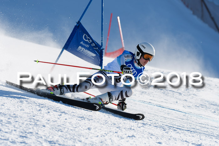 FIS Riesenslalom, Damen + Herren, Oberjoch, Bay. Jugendmeisterschaft, 14.02.2018