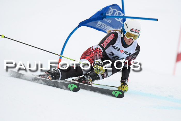 FIS Riesenslalom, Damen + Herren, Oberjoch, 15.02.2018