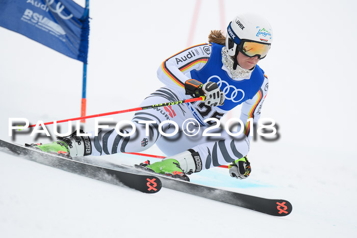 FIS Riesenslalom, Damen + Herren, Oberjoch, 15.02.2018