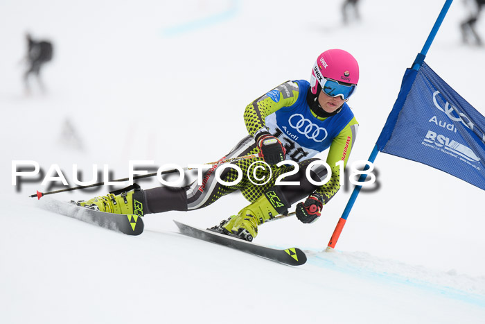 FIS Riesenslalom, Damen + Herren, Oberjoch, 15.02.2018