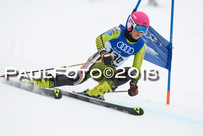 FIS Riesenslalom, Damen + Herren, Oberjoch, 15.02.2018