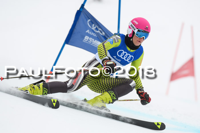 FIS Riesenslalom, Damen + Herren, Oberjoch, 15.02.2018