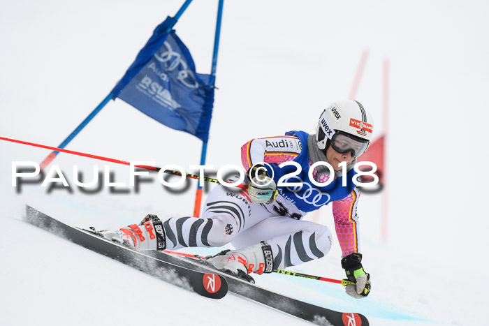 FIS Riesenslalom, Damen + Herren, Oberjoch, 15.02.2018