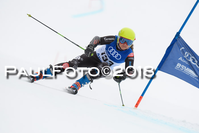 FIS Riesenslalom, Damen + Herren, Oberjoch, 15.02.2018