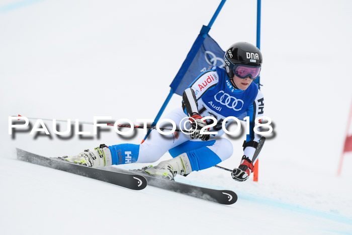 FIS Riesenslalom, Damen + Herren, Oberjoch, 15.02.2018