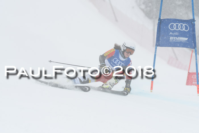 FIS Riesenslalom, Damen + Herren, Oberjoch, 15.02.2018