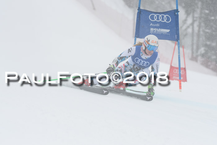 FIS Riesenslalom, Damen + Herren, Oberjoch, 15.02.2018