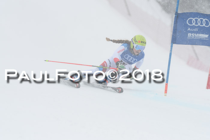 FIS Riesenslalom, Damen + Herren, Oberjoch, 15.02.2018