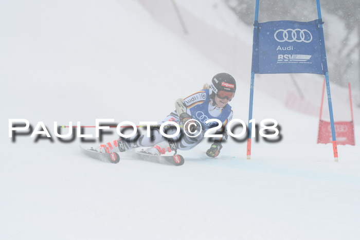 FIS Riesenslalom, Damen + Herren, Oberjoch, 15.02.2018