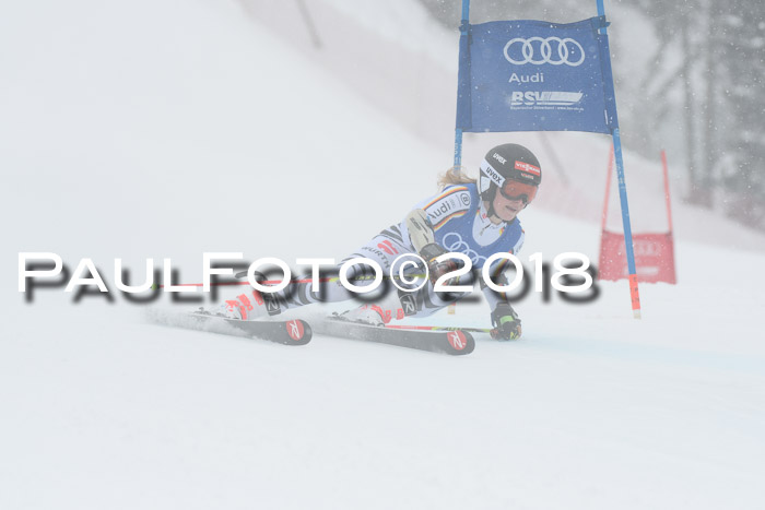 FIS Riesenslalom, Damen + Herren, Oberjoch, 15.02.2018