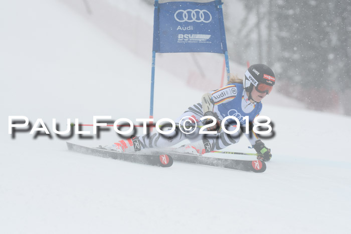 FIS Riesenslalom, Damen + Herren, Oberjoch, 15.02.2018