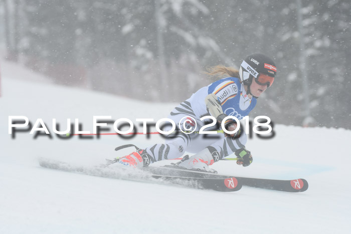 FIS Riesenslalom, Damen + Herren, Oberjoch, 15.02.2018