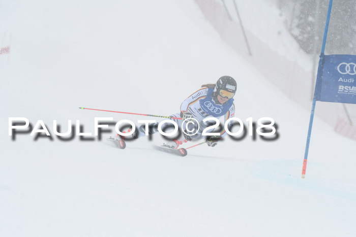 FIS Riesenslalom, Damen + Herren, Oberjoch, 15.02.2018