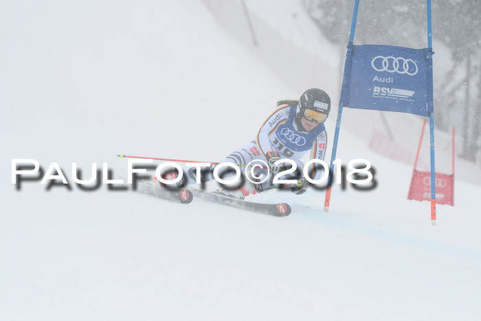 FIS Riesenslalom, Damen + Herren, Oberjoch, 15.02.2018