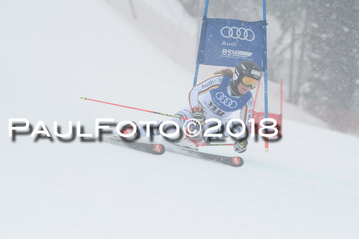 FIS Riesenslalom, Damen + Herren, Oberjoch, 15.02.2018