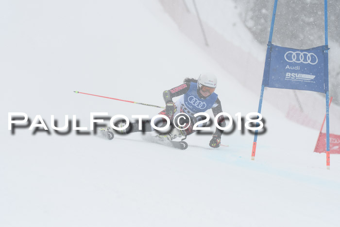 FIS Riesenslalom, Damen + Herren, Oberjoch, 15.02.2018